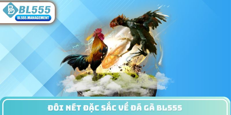 Đôi nét đặc sắc về đá gà BL555